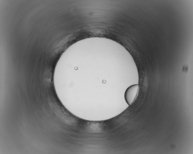 X0000112080710200909151113