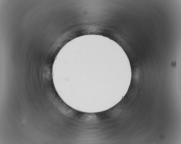 X0000112080715200909151113