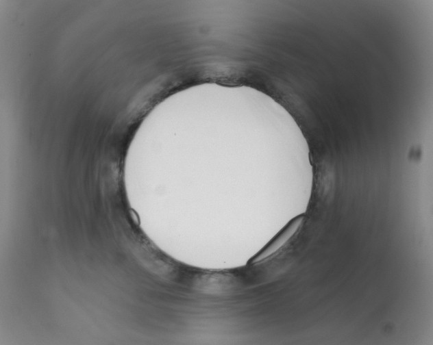 X0000112080716200909151113