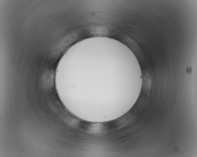 X0000112080717200909151113