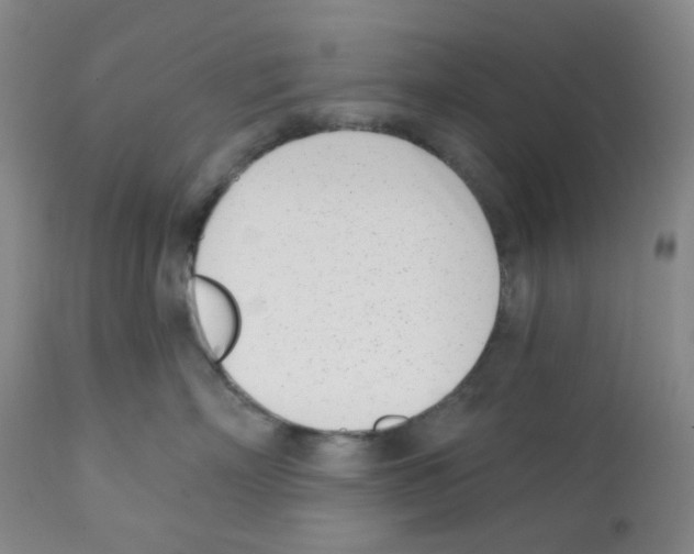 X0000112080718200909151113
