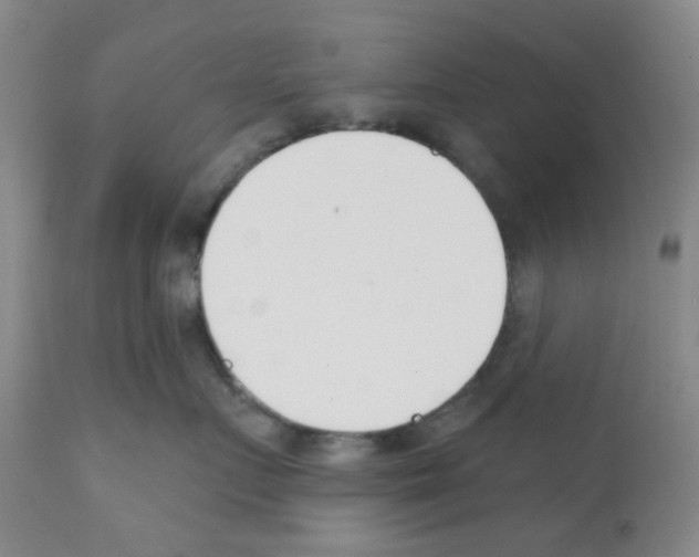 X0000112080719200909151113