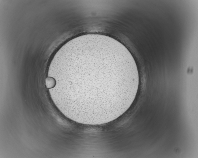 X0000112080721200909151112