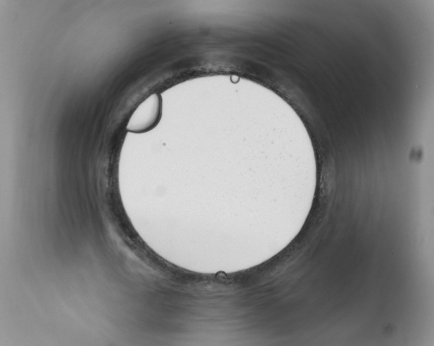 X0000112080722200909151112