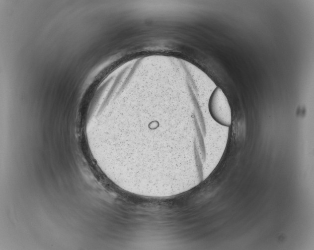 X0000112080724200909151112