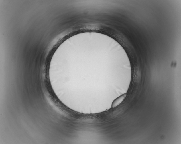 X0000112080726200909151112