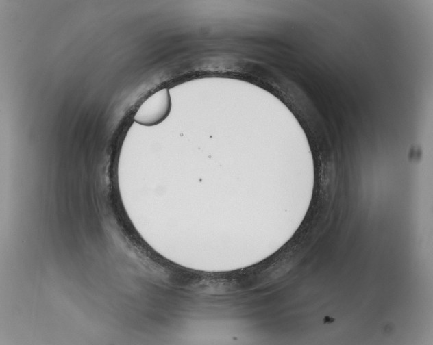 X0000112080727200909151112