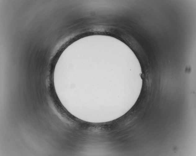 X0000112080728200909151112