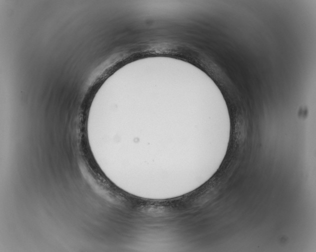 X0000112080730200909151112