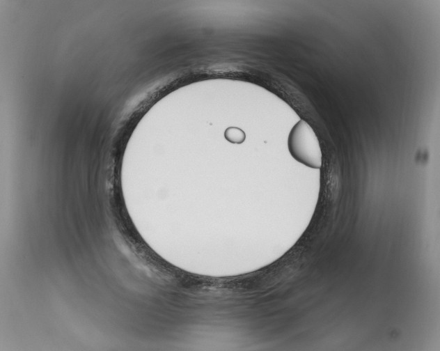 X0000112080732200909151112