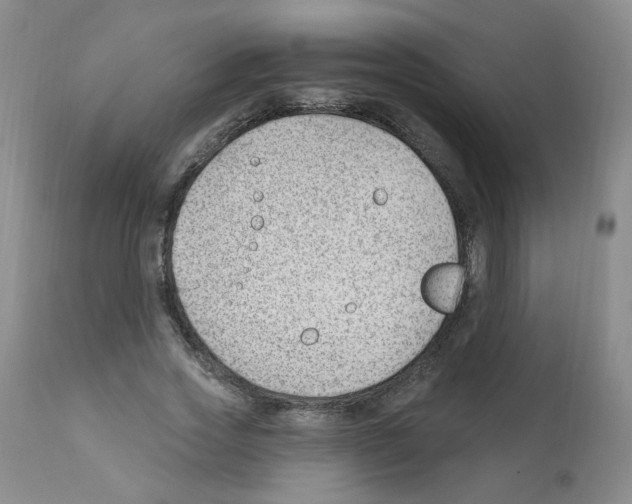 X0000112080733200909151112