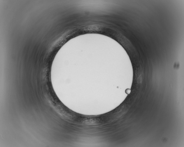 X0000112080735200909151112
