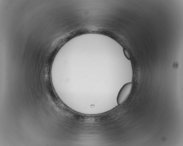 X0000112080740200909151112