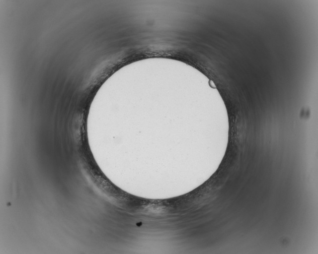 X0000112080742200909151112