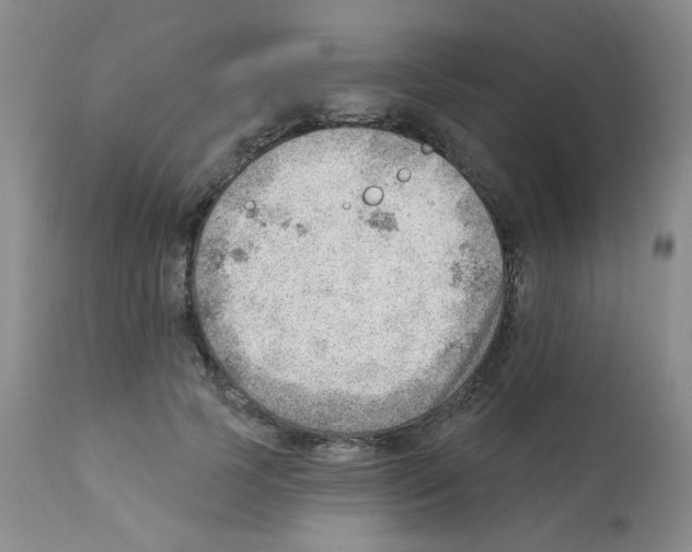 X0000112080745200909151112