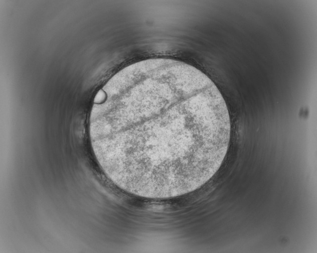 X0000112080746200909151112