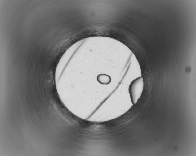 X0000112080748200909151112