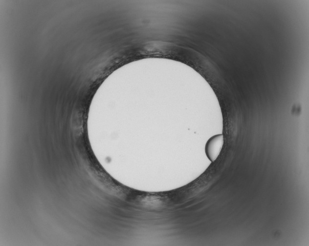 X0000112080751200909151112