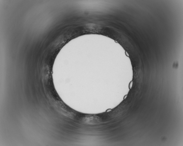 X0000112080752200909151112