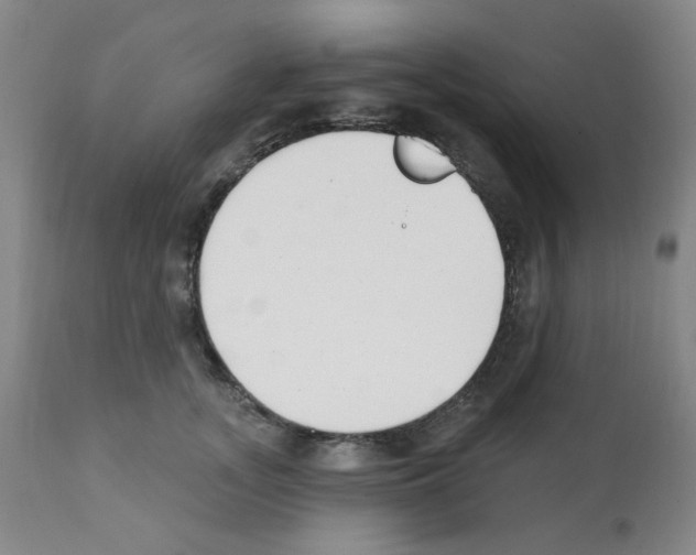 X0000112080755200909151112
