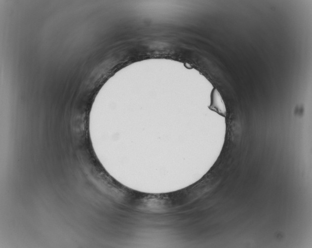 X0000112080756200909151112