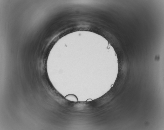 X0000112080759200909151112
