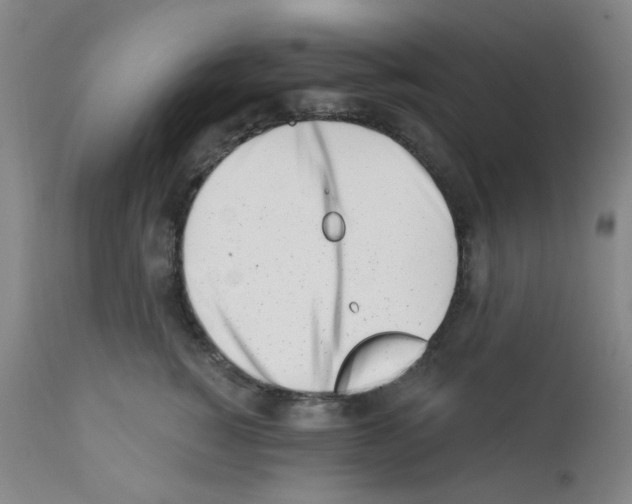 X0000112080760200909151112