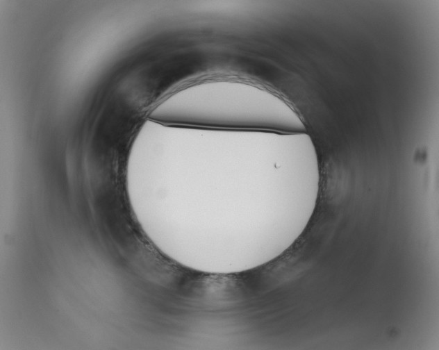 X0000112080762200909151112