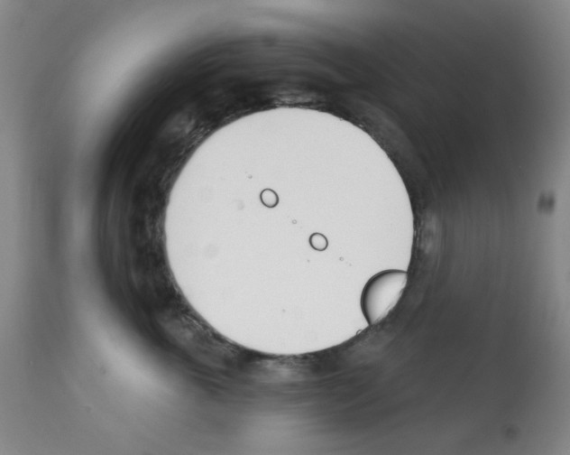 X0000112080763200909151112