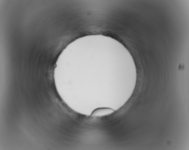 X0000112080768200909151112
