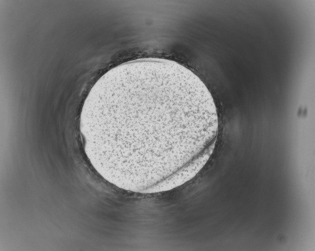 X0000112080769200909151112