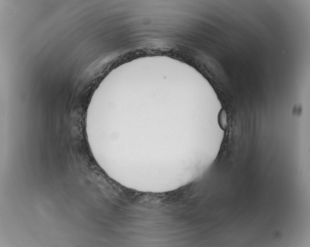 X0000112080773200909151112