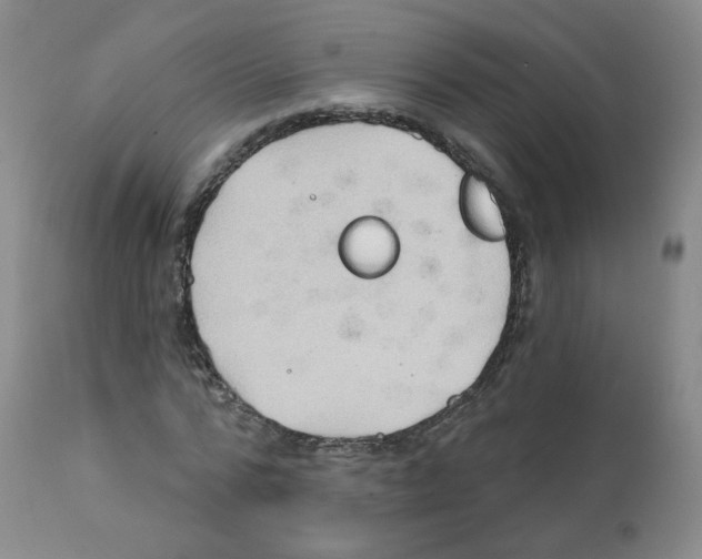 X0000112080776200909151112