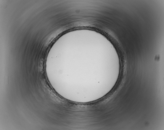 X0000112080777200909151112