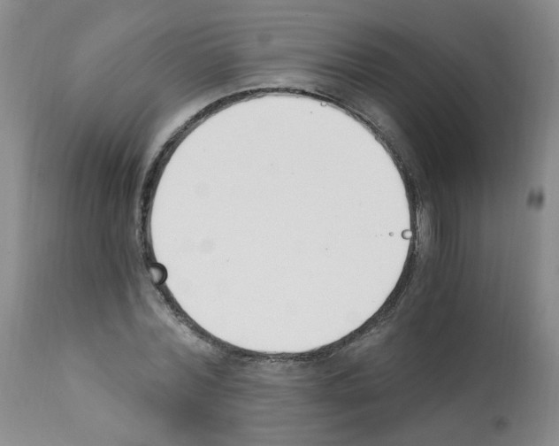 X0000112080780200909151112