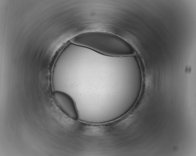 X0000112080781200909151112