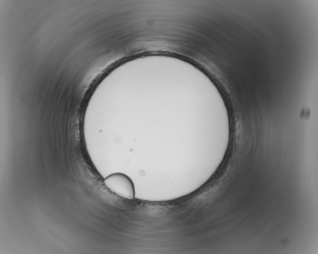 X0000112080782200909151112