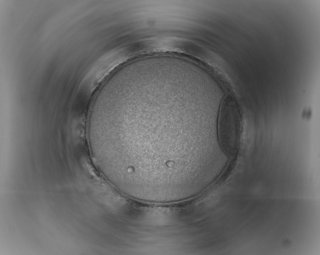 X0000112080785200909151112