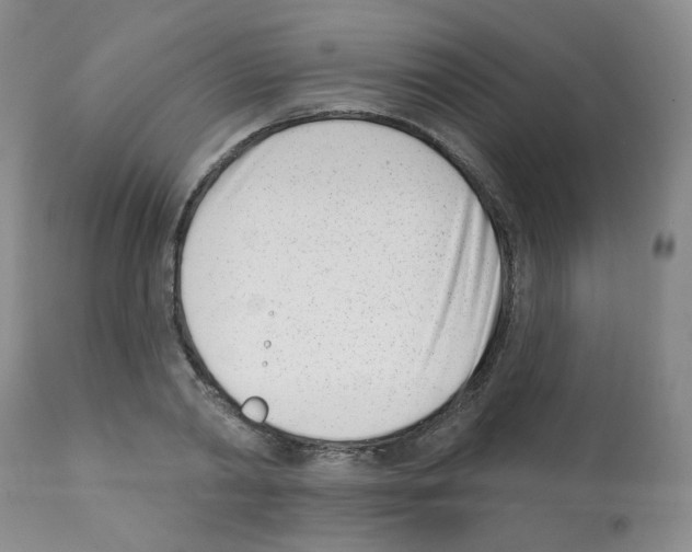 X0000112080790200909151112