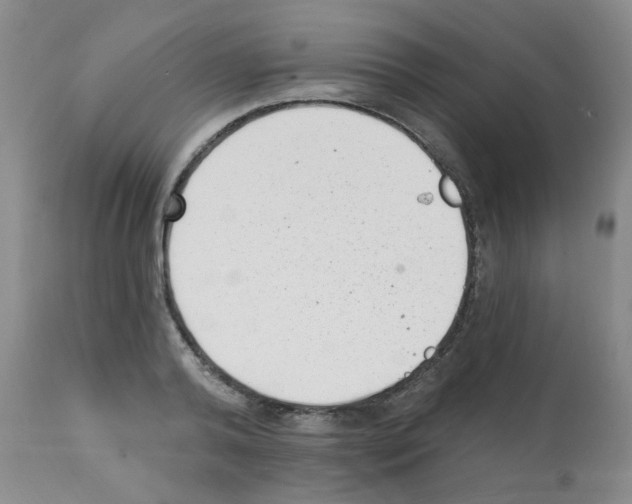 X0000112080792200909151112