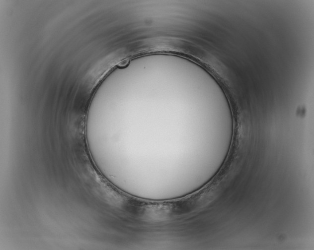 X0000112080793200909151111