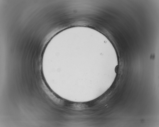 X0000112080795200909151111