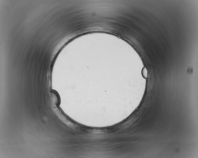 X0000112080796200909151111
