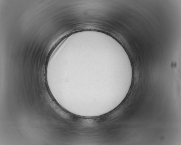 X0000112080798200909151111