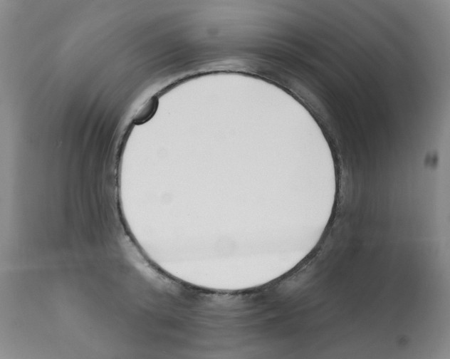 X0000112080800200909151111