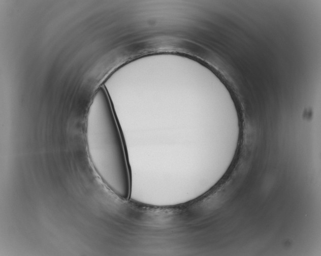 X0000112080801200909151111