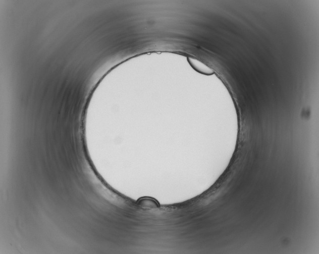 X0000112080803200909151111