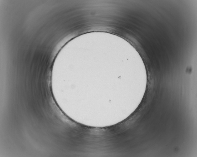 X0000112080804200909151111