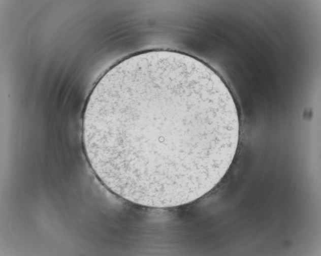 X0000112080807200909151111