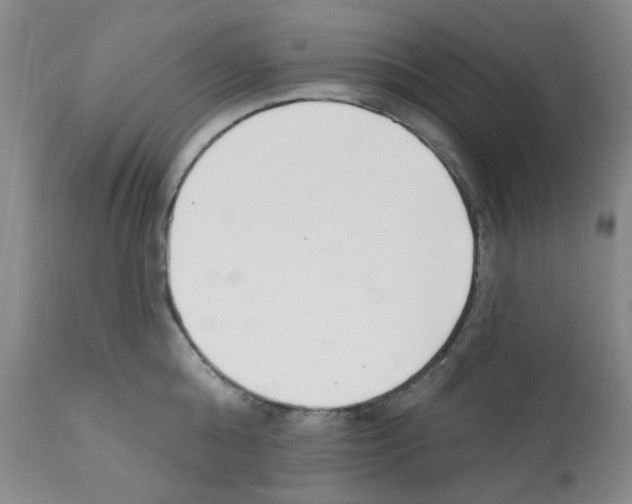 X0000112080808200909151111